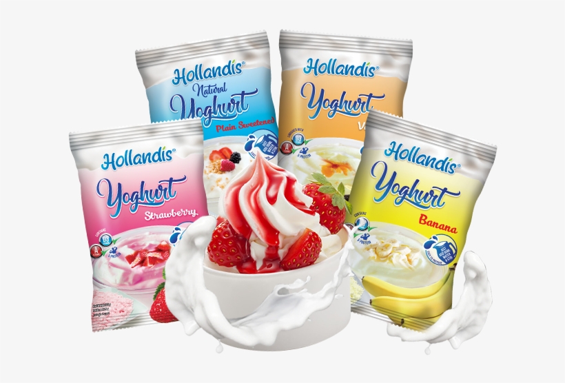 Hollandis Instant Yoghurt Powder - Yogurt, transparent png #1118029