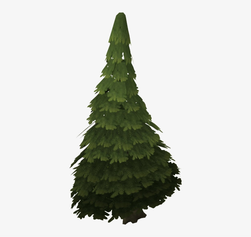 Evergreen Tree - .wiki, transparent png #1118094