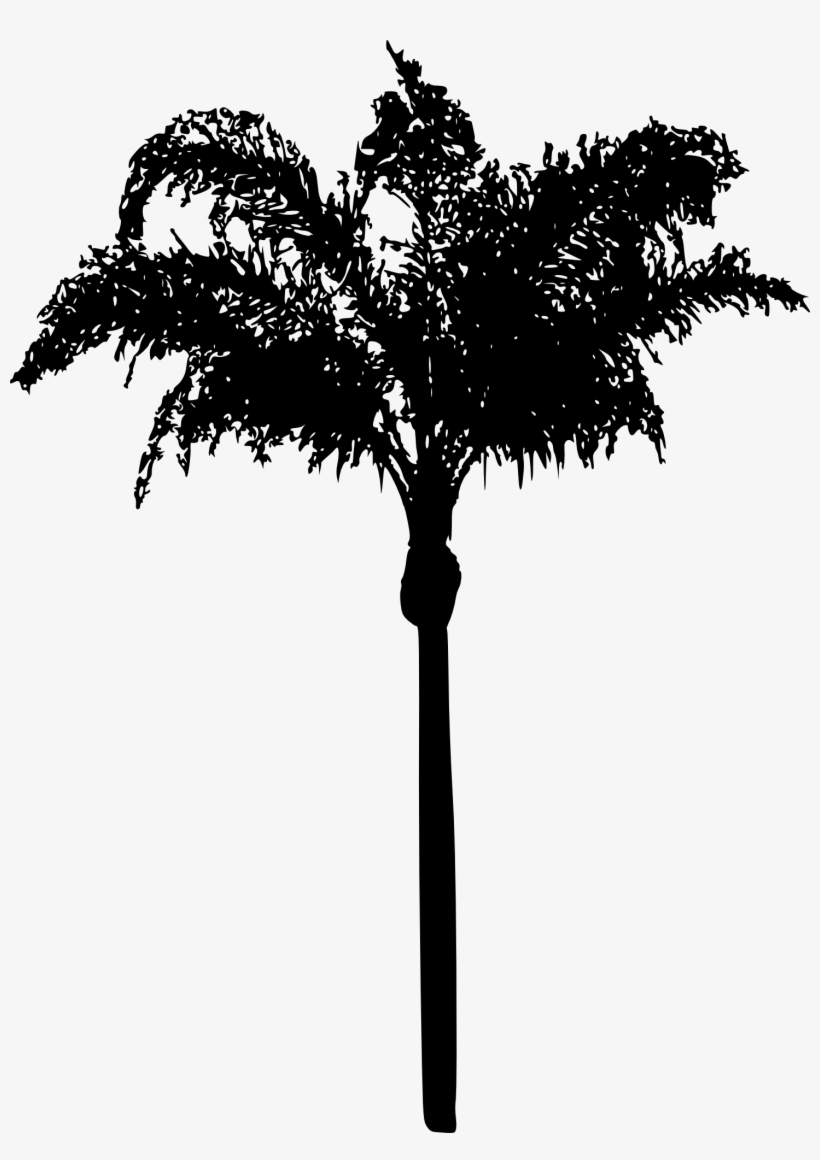 15 Palm Tree Silhouettes Png Transparent Background - Portable Network Graphics, transparent png #1118125