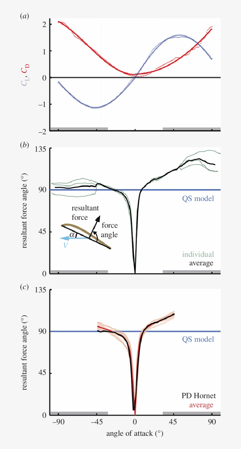 Quasi Steady Lift And Drag Model Approximation Of Hummingbird - Lift, transparent png #1118212