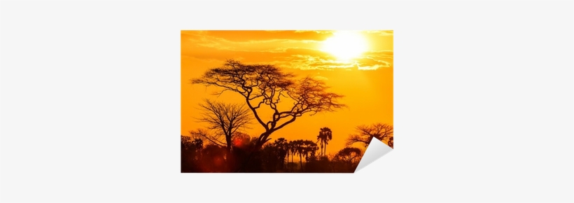 Orange Glow Of African Sunset Extra Large Wall Art, transparent png #1118241