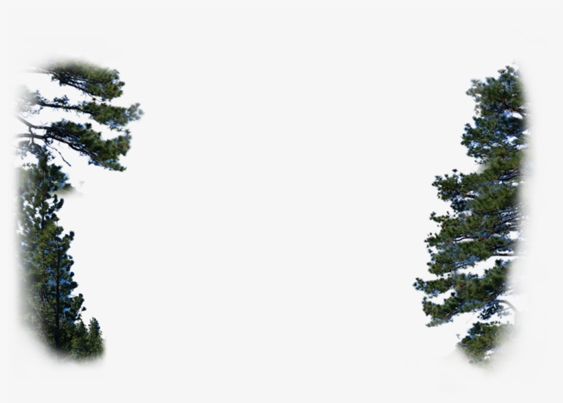 Vodka, transparent png #1118719