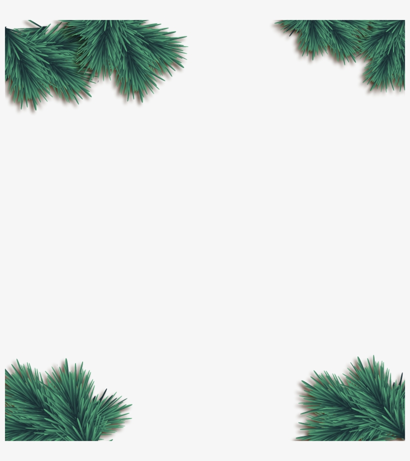 Christmas Euclidean Vector Pine - Euclidean Vector, transparent png #1118752