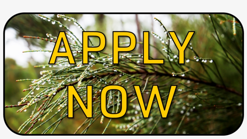 About The Program - Pc Game, transparent png #1119078