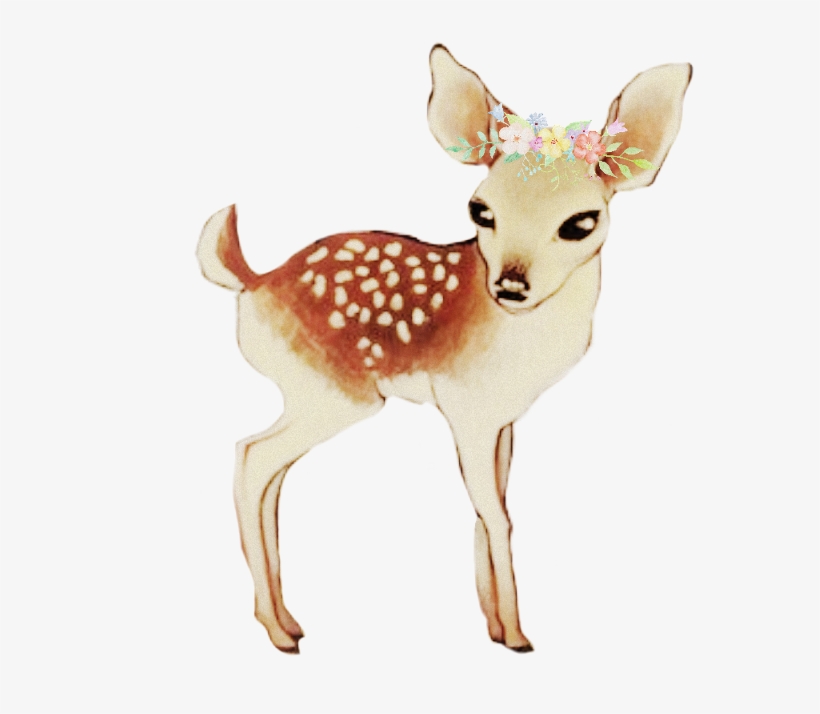 Baby Deer @scribblehandsfreetoedit - Baby Deer Drawing, transparent png #1119259