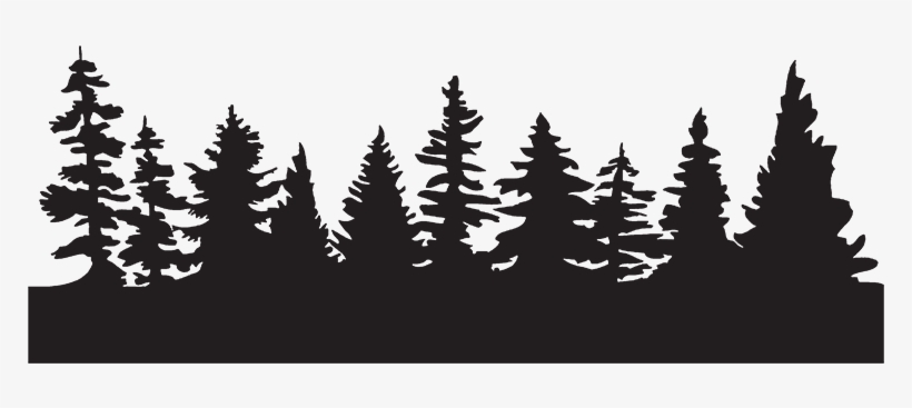 Silver Owl Fond Arbre - Earth Day Clean Up 2018, transparent png #1119443