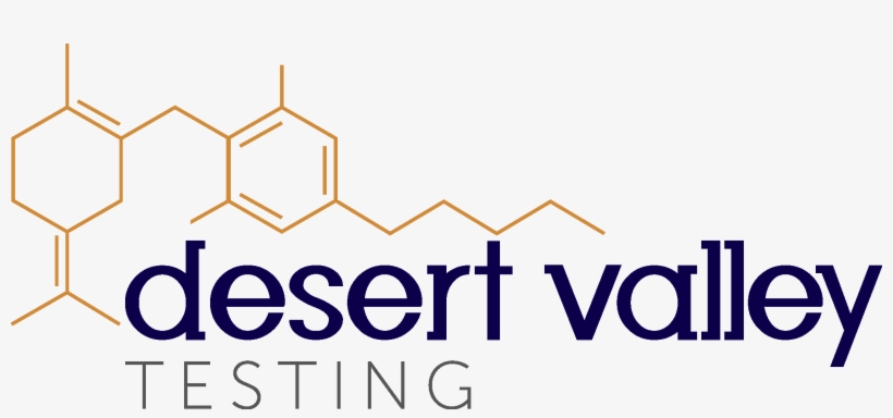 Desert Valley Testing - Teacher, transparent png #1120030