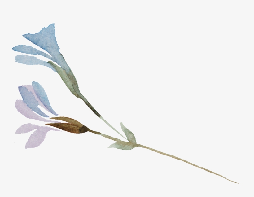 This Graphics Is Elf Flower Branch Cartoon Transparent - Cartoon, transparent png #1120244