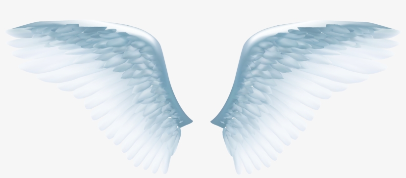 White Angel Wings Png - Angel Vector, transparent png #1120246