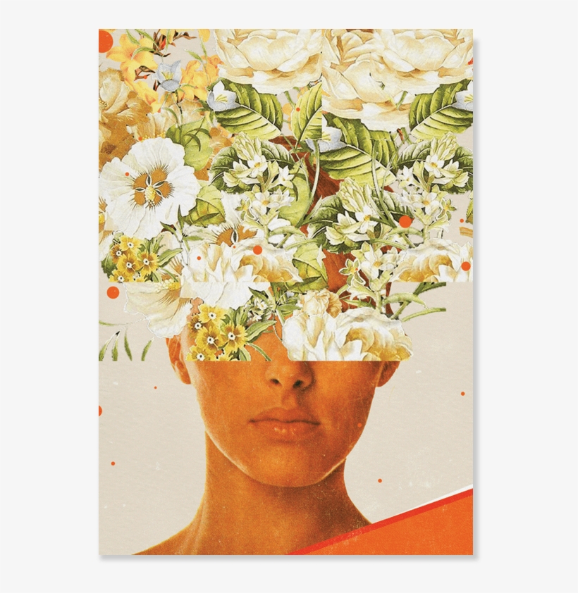 9501 Frank Moth Postcard - Shirt, transparent png #1120284