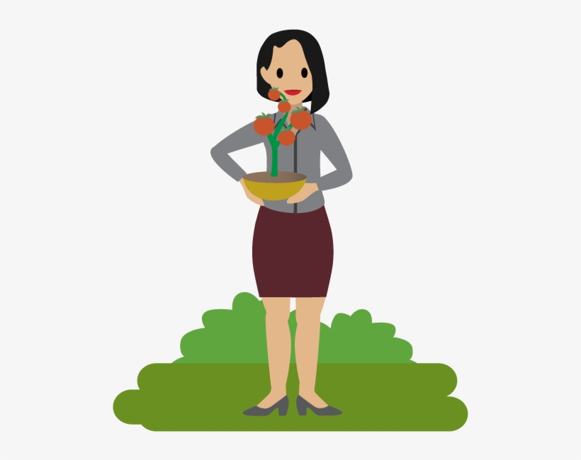 A Person Holding A Tomato Plant - Tomato, transparent png #1121107