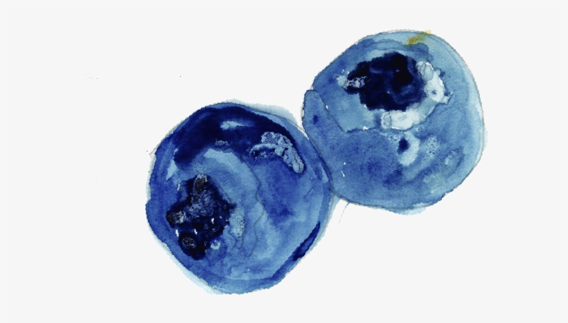 My Process Included Sketching The Illustration Out - Bilberry, transparent png #1121428