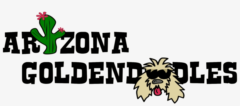 Goldendoodle Clipart Goldendoodle Puppy - Goldendoodle, transparent png #1121781