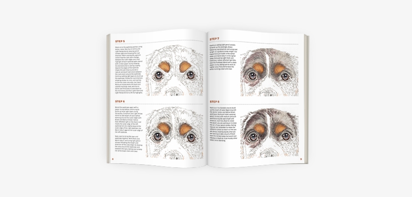 In-depth Colored Pencil Tutorial - Puppy Love, transparent png #1121885