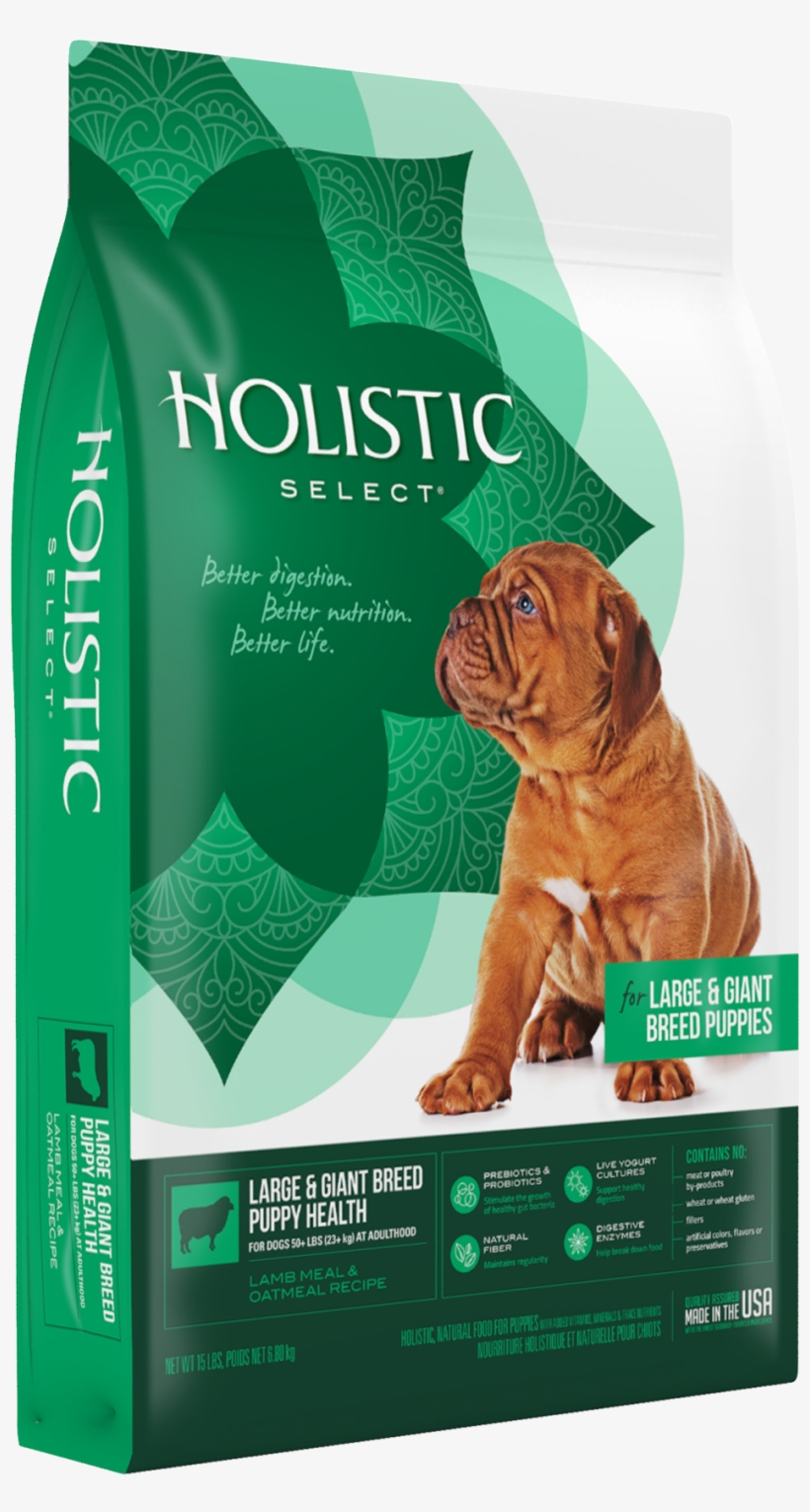 Product Packaging Image - Wellpet Mishawaka Wp31116 Holistic Grain Free Lbs Puppy, transparent png #1122009