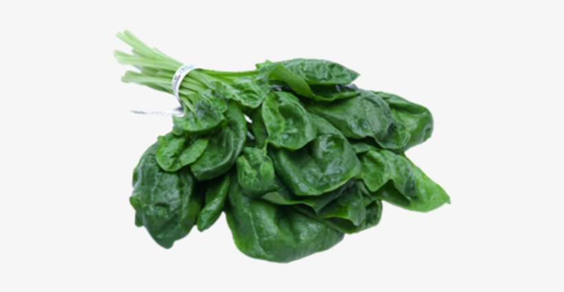Forgetmenot - Spinach, transparent png #1122750