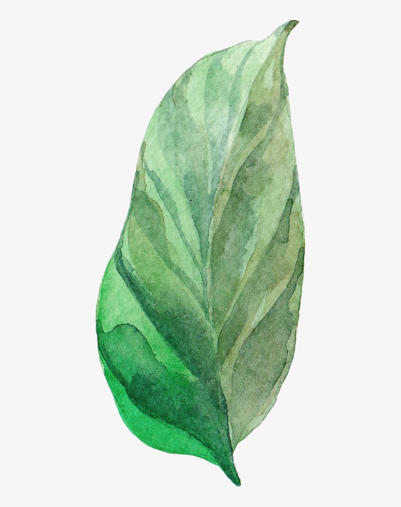 H402 - Watercolor Painting, transparent png #1122844