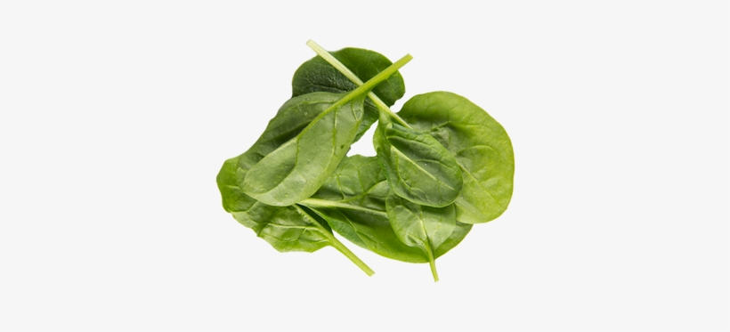 Kicked Up Spinach And Sun Dried Tomato Omelet Sandwich - Spinach Cooked Png, transparent png #1122872