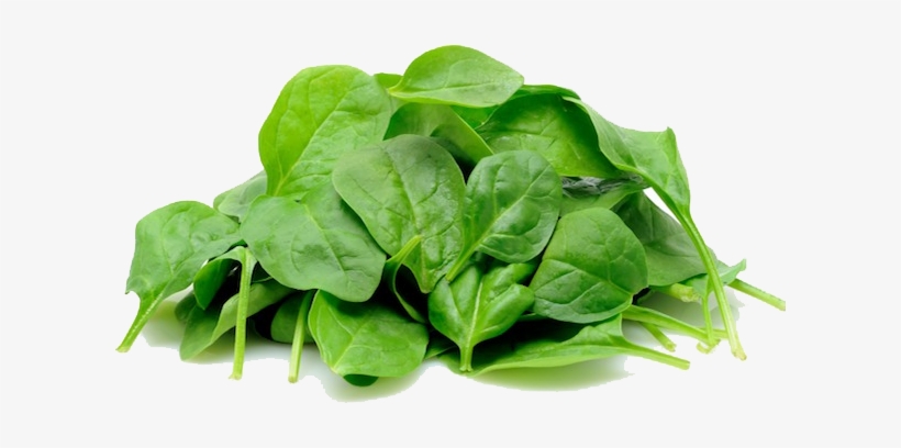 Spinach Png Image - Spinach Png, transparent png #1123183