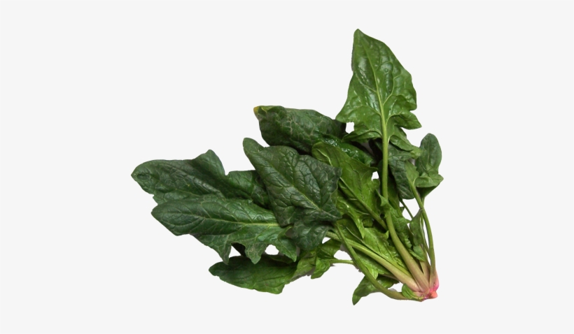 Download Spinach Png Image - Spinach Png, transparent png #1123190