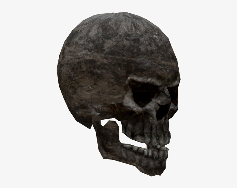 Skull, transparent png #1123593