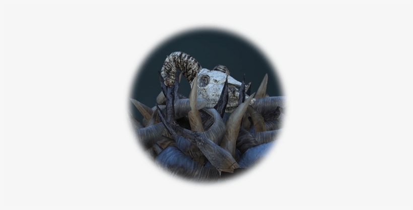 Pile Of Mountain Goat Skulls - Goat, transparent png #1123785