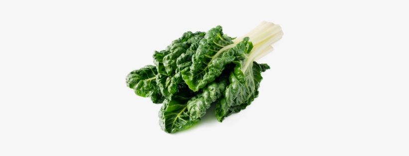 Leafy Fresh Silverbeet - Lacinato Kale, transparent png #1123856