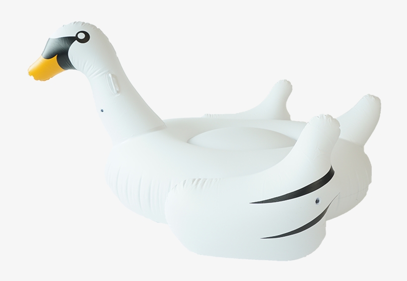 Sunfloats Inflatable White Swan Pool Floats - Duck, transparent png #1124068