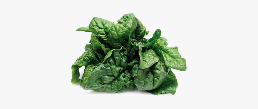 Tocotrienols Health Benefits, transparent png #1124227