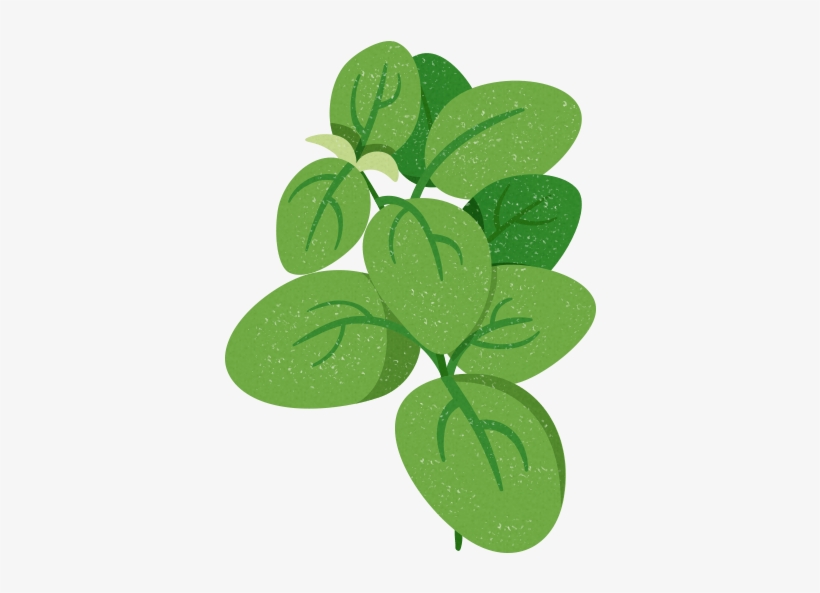 Spinach Leaves - Spinach, transparent png #1124380