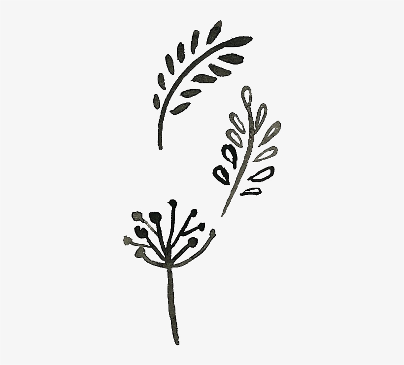 Doodles - Doodle Transparent - Free Transparent PNG Download - PNGkey