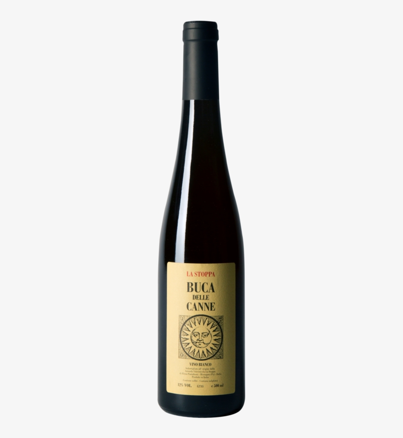 Bucca Delle Cane - Pinot Noir Undurraga Th, transparent png #1124742
