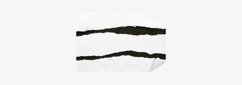 Wood, transparent png #1126814