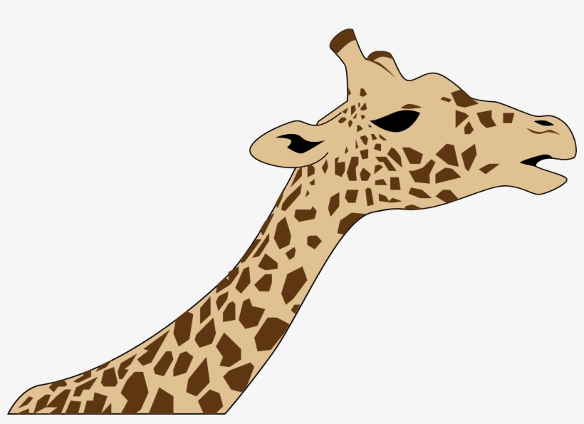 Drawing Head West African Giraffe Download Free Commercial - Giraffe Head Clip Art, transparent png #1130329