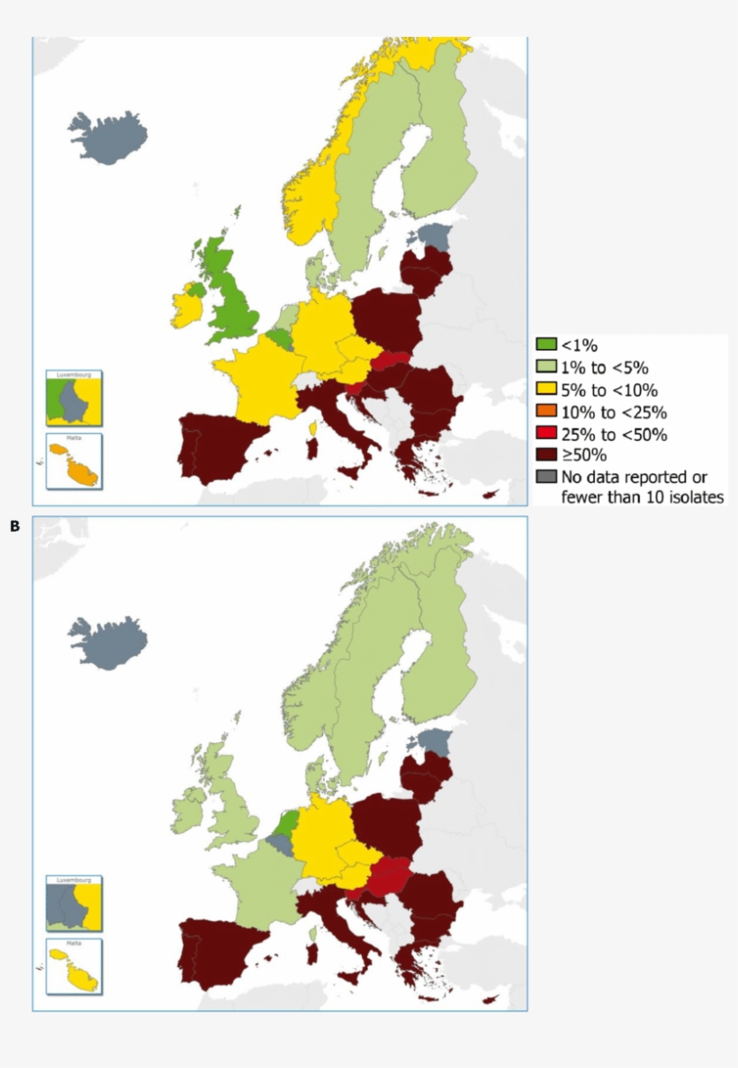 Percentage Of Invasive Acinetobacter Spp - Acinetobacter Baumannii Carbapenem Resistant In World, transparent png #1130351