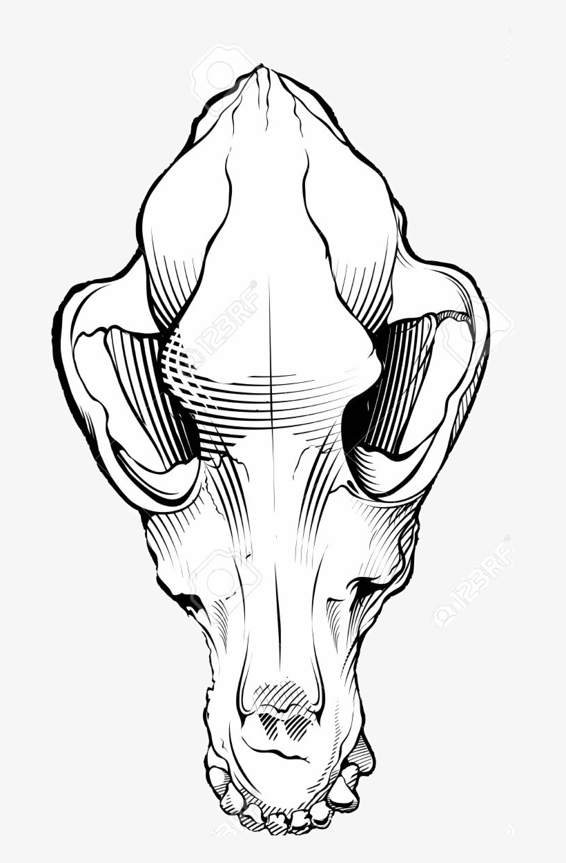Dog Skull Black And White Free Dog Skull Clipart Black - Animal Jam Clans, transparent png #1130997