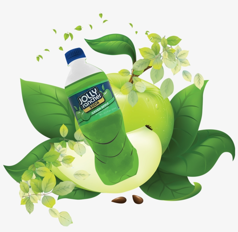 Apple Vector, transparent png #1132805