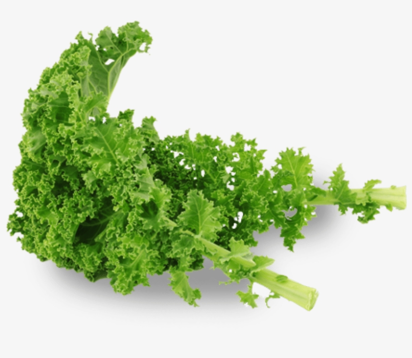 Free Png Kale Png Images Transparent - Kale Png, transparent png #1134223