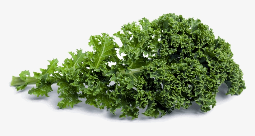 Free Png Kale Png Images Transparent - Kale Png, transparent png #1134247