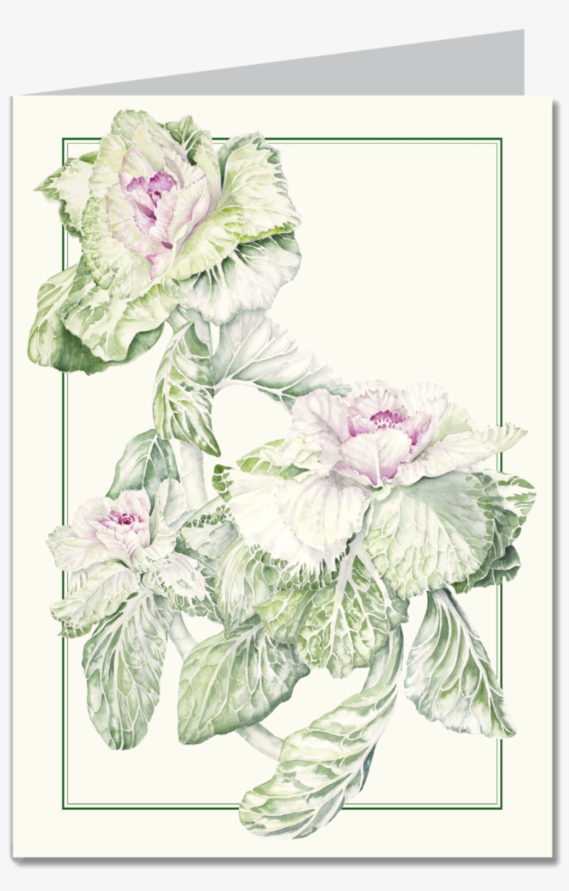 Flowering Kale Item, transparent png #1134352