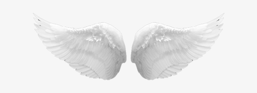 Stores Soundscapes - Angel Wings Png Real, transparent png #1134374