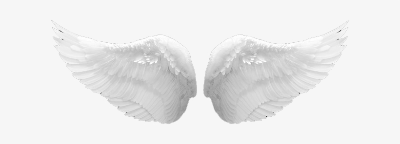 Stores Soundscapes - Angel Wings Png Real, transparent png #1134374