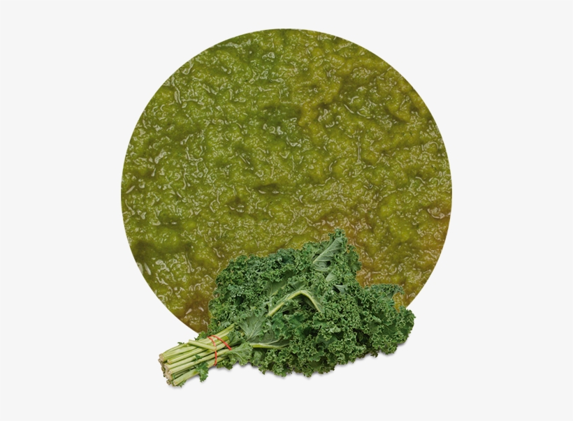 The Consumption Of Kale Is Highly Recommended Because - Kale Fresh Produce Fruit Vegetables Per Bundle Each, transparent png #1134583