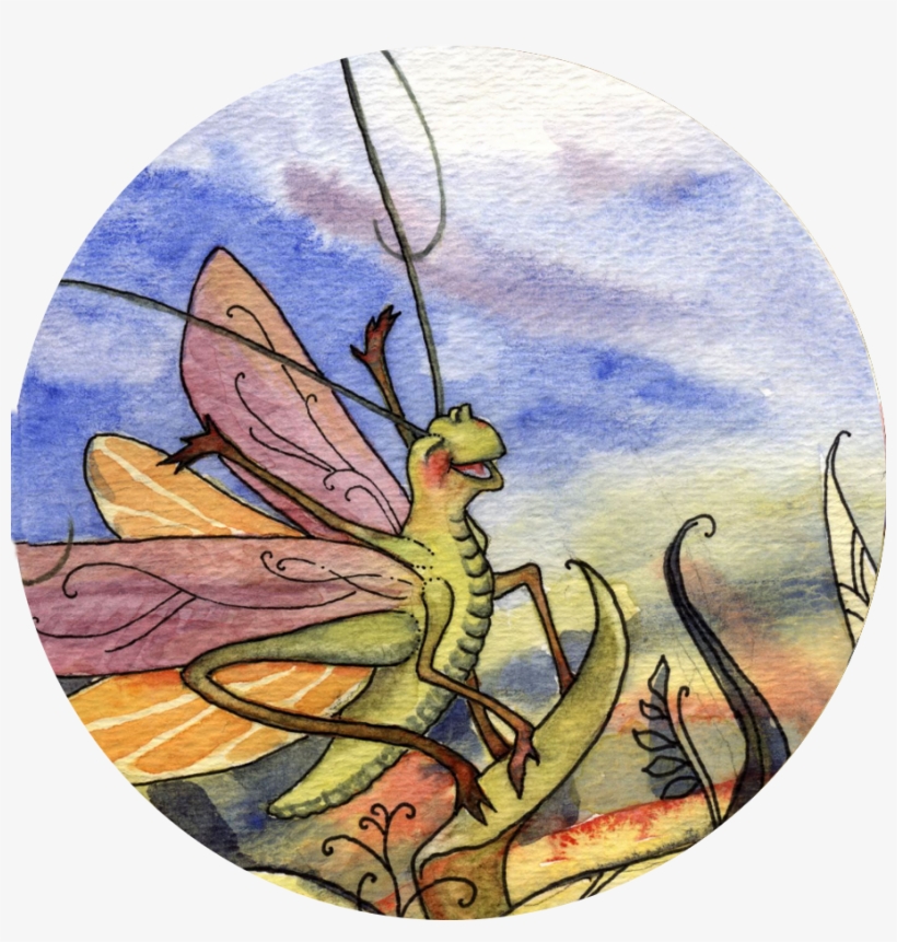 Skippit 3 Ed Circle Small - Fairy, transparent png #1134737