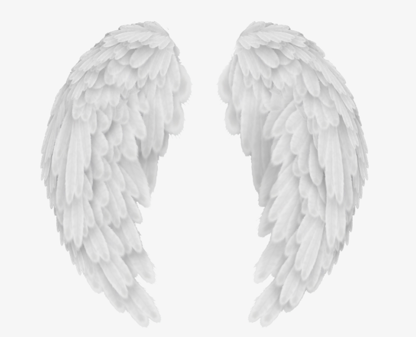 Angel Wings Png - Angel Wings Png Transparent, transparent png #1134821