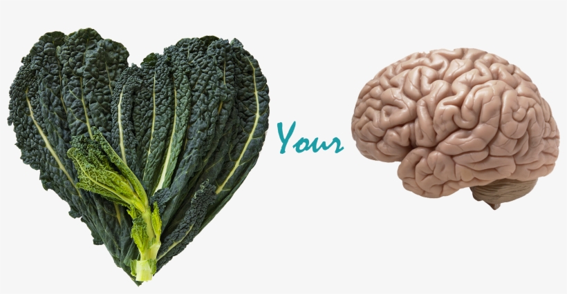 Benefits Of Kale & Your Brain - Eat Local Dekalb Sticker, transparent png #1135168