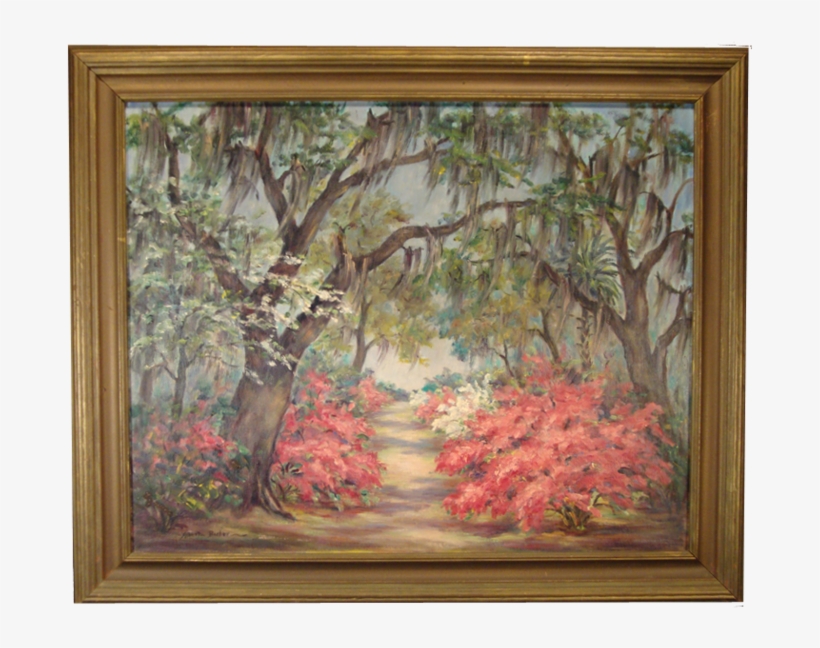 Savannah Garden Scene With Spanish Moss, transparent png #1135846