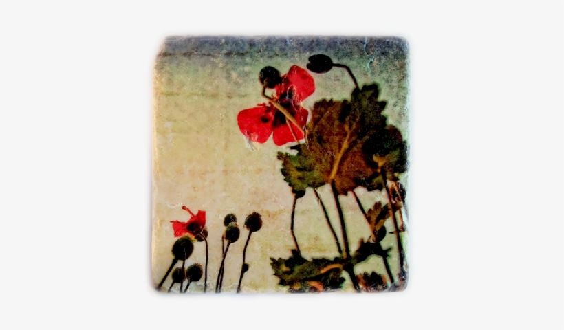 Rustic And Contemporary At The Same Time The Unique - Poppy, transparent png #1137271