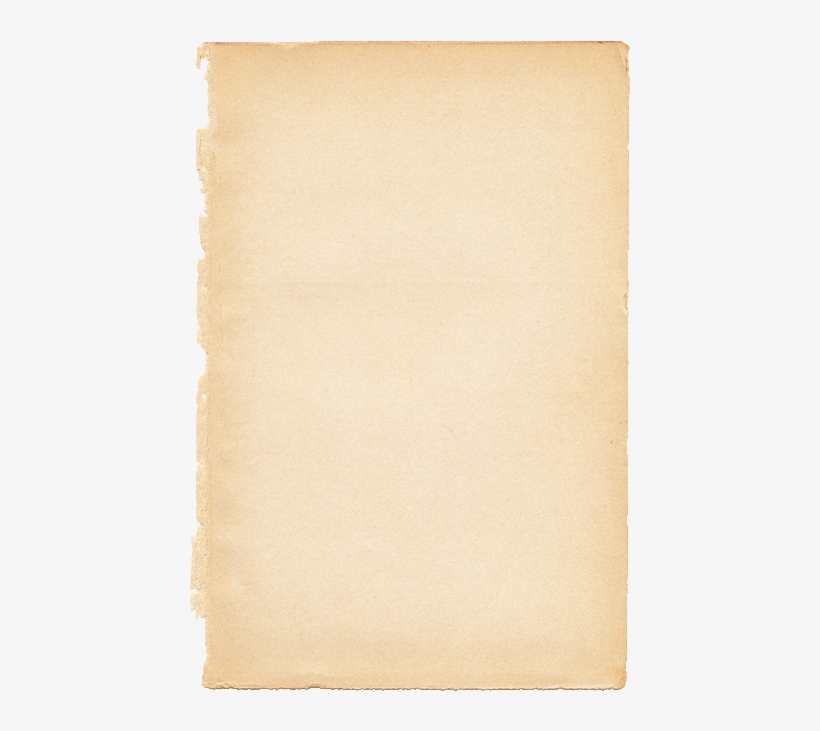 Leather Goods, Bedding, Artisan Jewelry, Gifts And - Karl Blossfeldt, transparent png #1137350