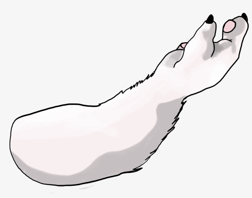Image Image, transparent png #1137736